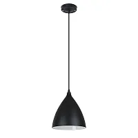 Светильник подвесной Lark A7075SP-1BK Arte Lamp чёрный на 1 лампу, основание чёрное в стиле лофт современный 
