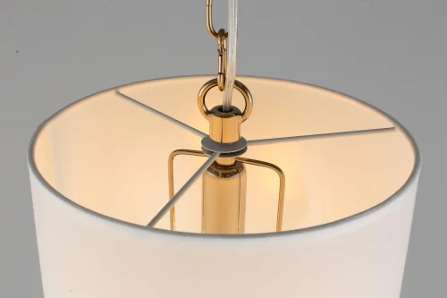 Светильник подвесной Franula APL.724.06.01 Aployt белый 1 лампа, основание золотое в стиле классический  фото 7