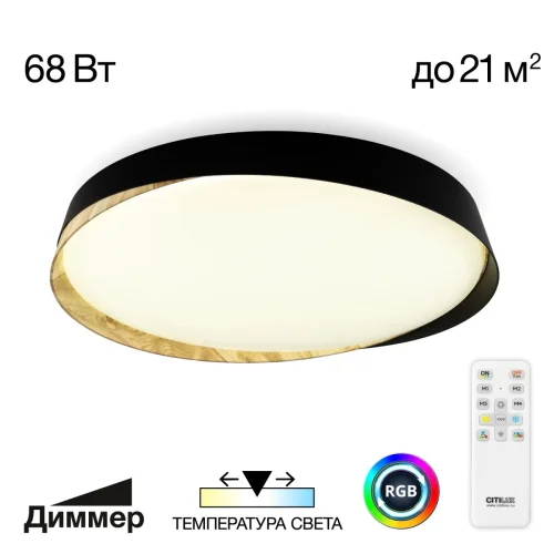 Светильник потолочный LED RGB с пультом Bonny CL754451G Citilux белый 1 лампа, основание чёрное в стиле современный хай-тек круглый с пультом