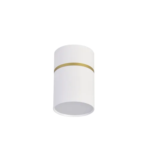 Светильник накладной Dunia 3067-1C Favourite белый 1 лампа, основание белое в стиле современный круглый фото 2