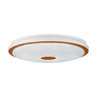 Светильник потолочный LED Lanciano 1 900599 Eglo белый 1 лампа, основание белое в стиле современный тарелка