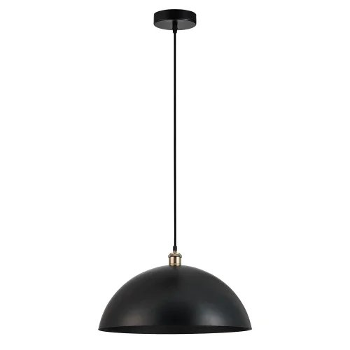 Светильник подвесной Cappello A7056SP-1BK Arte Lamp чёрный на 1 лампу, основание чёрное в стиле лофт современный 