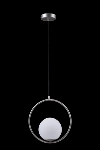 Светильник подвесной Glob LOFT2600-B LOFT IT белый 1 лампа, основание никель в стиле современный шар фото 2