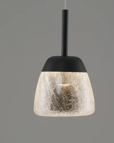 Светильник подвесной LED Eir V10875-PL Moderli прозрачный 1 лампа, основание чёрное в стиле современный  фото 3