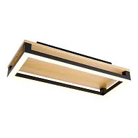 Светильник потолочный LED Firkant 4434-1C F-promo чёрный на 1 лампу, основание коричневое чёрное в стиле современный 