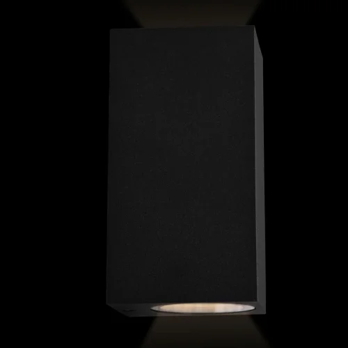 Настенный светильник Eterno 100007/B LOFT IT уличный IP54 чёрный 2 лампы, плафон чёрный в стиле современный хай-тек GU10 фото 6