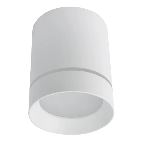 Светильник накладной LED Elle A1909PL-1WH Arte Lamp белый 1 лампа, основание белое в стиле современный круглый