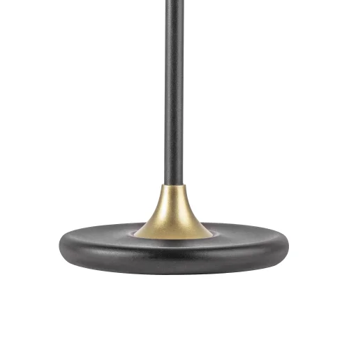 Настольная лампа LED Acrile 738973 Lightstar прозрачная 1 лампа, основание золотое чёрное металл в стиле современный хай-тек минимализм  фото 4