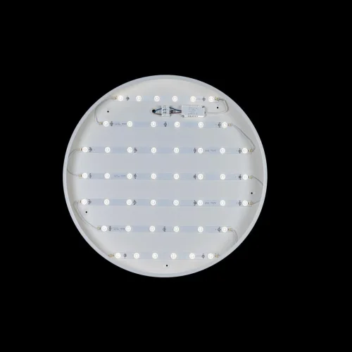 Светильник потолочный LED Axel 10002/48 White LOFT IT белый 1 лампа, основание белое в стиле современный  фото 3