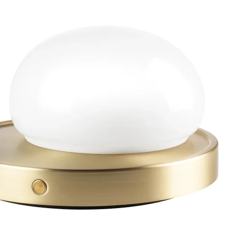 Настольная лампа LED переносная Alfa 745933 Lightstar прозрачная 1 лампа, основание золотое металл в стиле хай-тек современный  фото 4