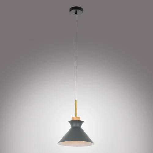 Светильник подвесной Kristina MR1351-1P MyFar серый 1 лампа, основание чёрное в стиле современный скандинавский лофт  фото 5