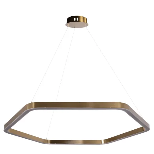 Светильник подвесной LED Titanium 10243XL Gold LOFT IT золотой 1 лампа, основание золотое в стиле современный  фото 2