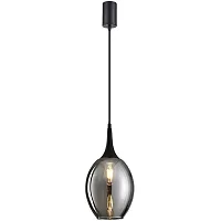Светильник подвесной Dubbel 4361-1P F-promo чёрный 1 лампа, основание чёрное в стиле современный 