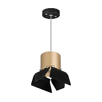 Светильник подвесной Rullo GX53 RP3490487 Lightstar золотой чёрный 1 лампа, основание чёрное в стиле хай-тек современный 