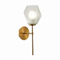 Бра Terramo SLE205201-01 Evoluce белый 1 лампа, основание латунь в стиле современный 