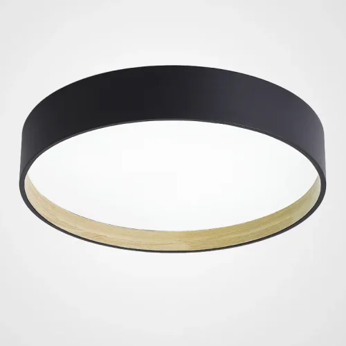 Светильник потолочный NETTY D40 Black 224021-23 ImperiumLoft белый на 1 лампу, основание чёрное в стиле современный скандинавский минимализм 