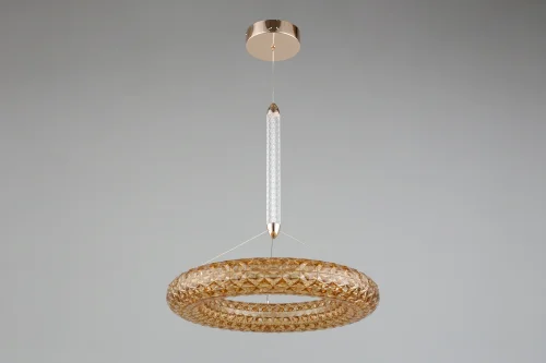 Светильник подвесной LED Danuta APL.035.06.25 Aployt золотой 1 лампа, основание золотое в стиле современный  фото 5