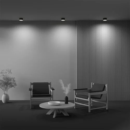 Светильник накладной LED Zon C032CL-12W2.7K-RD-B Maytoni белый на 1 лампу, основание чёрное в стиле современный хай-тек круглый фото 5