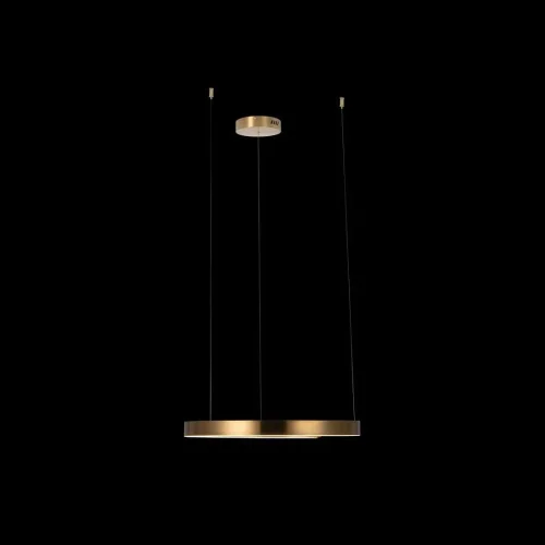 Светильник подвесной LED Ring 10013M LOFT IT латунь на 1 лампу, основание латунь в стиле хай-тек кольца фото 4