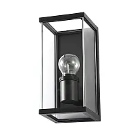 Настенный светильник Pot A1631AL-1BK Arte Lamp уличный IP54 чёрный 1 лампа, плафон прозрачный в стиле модерн E27