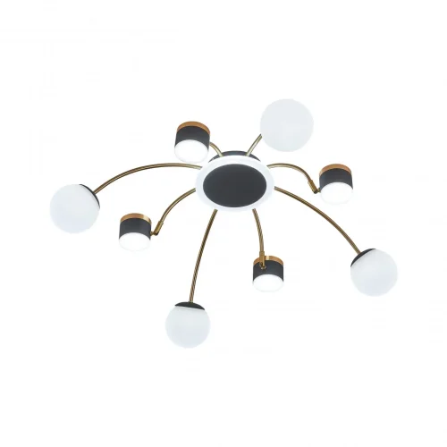 Люстра потолочная LED Ferrara-71040 271040/8 BK/GD Arte Milano белая на 1 лампу, основание чёрное в стиле современный хай-тек фото 14