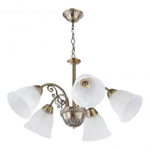Люстра подвесная Amalfi-8544 338544/5 AB Arte Milano белая на 5 ламп, основание бронзовое в стиле современный 