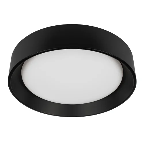 Светильник потолочный LED Coin 10202 BB LOFT IT белый на 1 лампу, основание чёрное в стиле современный круглый