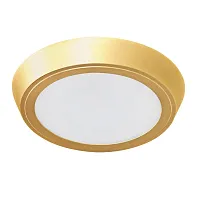 Светильник накладной LED Urbano 216932 Lightstar матовый золото золотой 1 лампа, основание матовое золото золотое в стиле современный хай-тек круглый