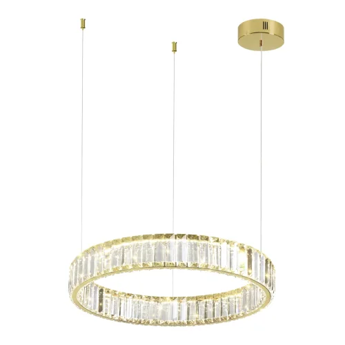 Светильник подвесной LED Vekia 5015/30L Odeon Light прозрачный 1 лампа, основание золотое в стиле современный кольца фото 3