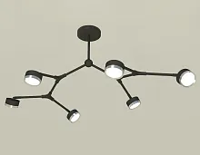 Светильник потолочный XB9056151 Ambrella light чёрный 6 ламп, основание чёрное в стиле модерн хай-тек 