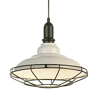 Светильник подвесной лофт LSP-9848 Lussole белый 1 лампа, основание белое чёрное в стиле лофт 