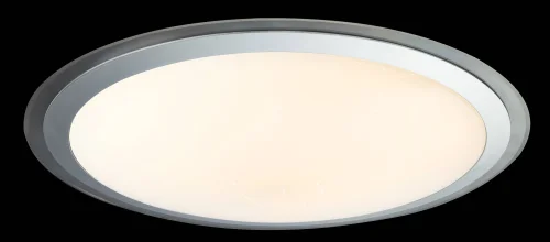 Светильник потолочный LED с пультом Optima 41310-80 Globo серебряный белый 1 лампа, основание белое в стиле современный с пультом фото 3