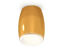 Светильник накладной Techno spot XS1125020 Ambrella light золотой жёлтый 1 лампа, основание золотое жёлтое в стиле современный круглый