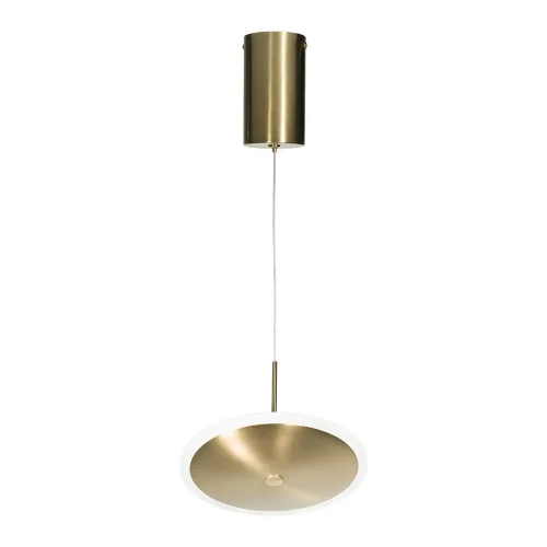 Светильник подвесной LED Ruedo 10036/200 LOFT IT золотой 1 лампа, основание золотое в стиле модерн хай-тек 