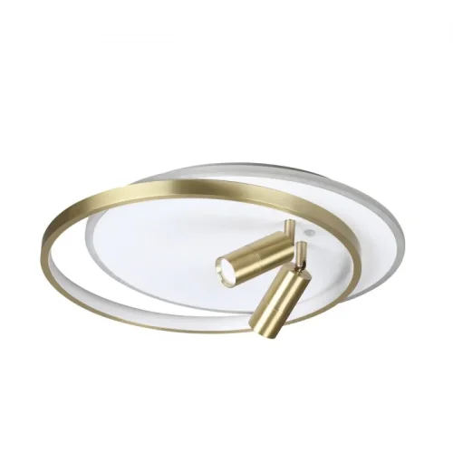 Люстра потолочная LED с пультом Naoko 5603/63CL Lumion золотая на 1 лампа, основание золотое белое в стиле минимализм с пультом кольца