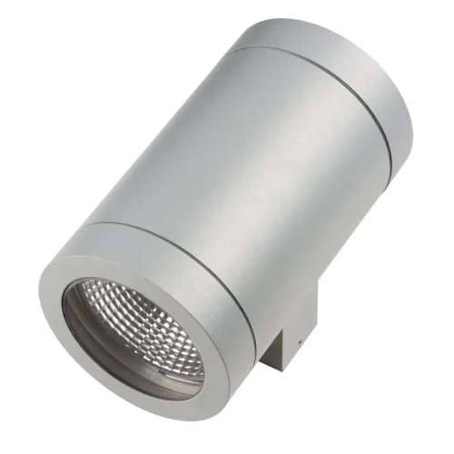 Настенный светильник LED Paro 351619 Lightstar уличный IP65 серый 2 лампы, плафон серый в стиле хай-тек LED