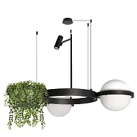 Светильник подвесной LED Jardin 10121/2 LOFT IT белый на 2 лампы, основание чёрное в стиле современный 