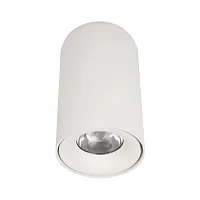Светильник накладной LED Tictac 10220 White 4000K LOFT IT белый 1 лампа, основание белое в стиле современный круглый