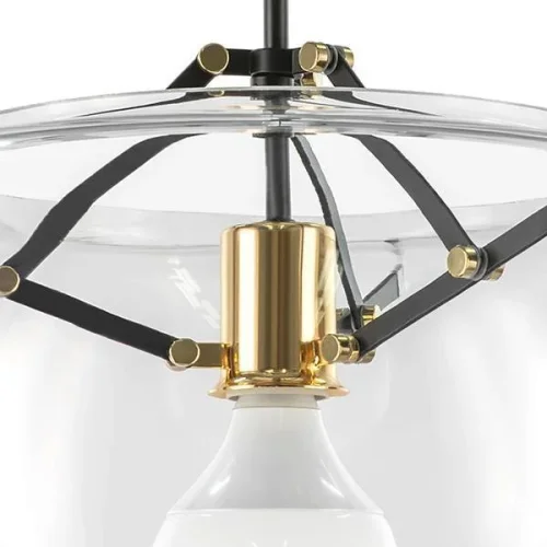 Светильник подвесной Acquario 752010 Lightstar чёрный 1 лампа, основание прозрачное в стиле арт-деко  фото 3