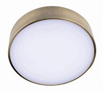 Светильник потолочный LED Evon APL.0114.29.12 Aployt купить в интернет магазине уютный-свет.рф