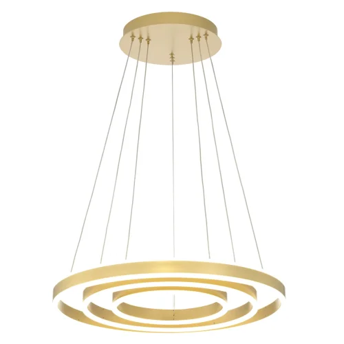 Люстра подвесная LED с пультом Дуэт CL719652 Citilux золотая на 1 лампа, основание золотое в стиле современный хай-тек кольца с пультом фото 3