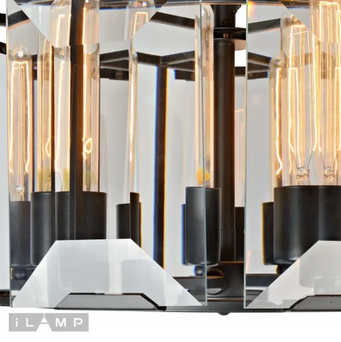 Люстра подвесная Panorama 6108-500BK iLamp прозрачная на 8 ламп, основание чёрное в стиле современный  фото 3