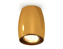 Светильник накладной Techno spot XS1125001 Ambrella light золотой жёлтый 1 лампа, основание золотое жёлтое в стиле современный круглый