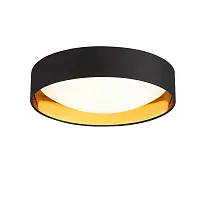 Светильник потолочный LED Orbio SLE201102-01 Evoluce чёрный белый 1 лампа, основание чёрное золотое в стиле современный 