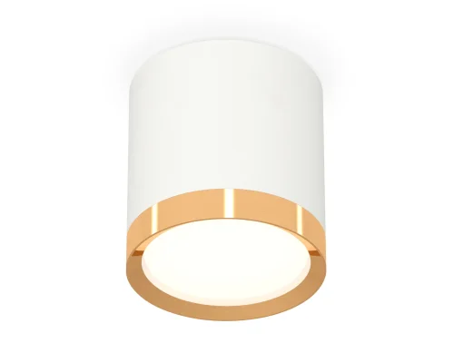 Светильник накладной XS8141004 Ambrella light белый 1 лампа, основание белое в стиле хай-тек круглый