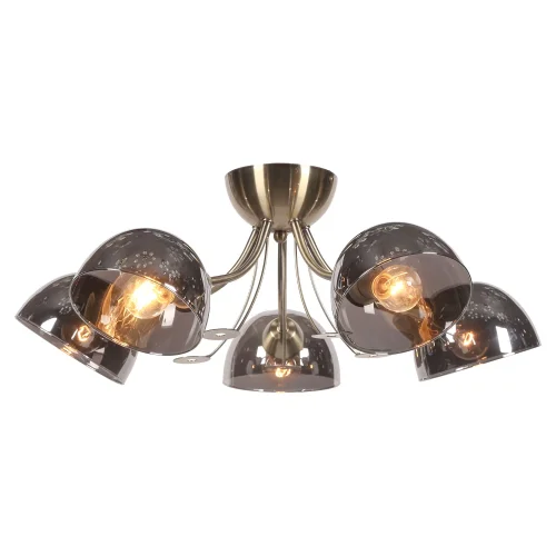 Люстра потолочная Gresham LSP-8368 Lussole серая на 5 ламп, основание бронзовое в стиле современный 
