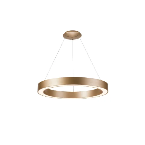 Светильник подвесной LED 0688CL-60GD Milosh Tendence золотой 1 лампа, основание золотое в стиле современный хай-тек кольца
