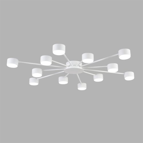 Светильник потолочный Torina 8343/12C Lumion белый на 12 ламп, основание белое в стиле минимализм фото 4