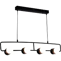 Светильник подвесной LED Elegante 2045/02/04P Stilfort чёрный 4 лампы, основание медь в стиле современный 
