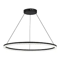 Светильник подвесной LED Euclidics SL1018.413.01 ST-Luce прозрачный на 1 лампу, основание чёрное в стиле хай-тек кольца